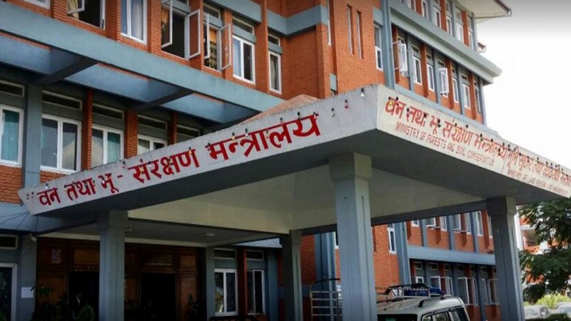 टिम्बर कर्पोरेशन र वन पैदावार समिति गाभिँदै टिम्बर कर्पोरेशन र वन पैदावार समिति गाभिँदै