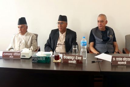 महाधिवेशन भएको तीन वर्ष बित्दासमेत कांग्रेसका विभाग नेतृत्वविहीन