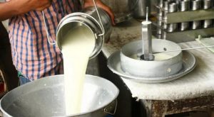 दूधको मूल्यमा प्रतिलिटर २० रुपियाँले वृद्धि