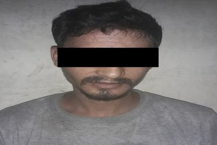 महिलालाई अबैध काममा लगाउने एक होटल संचालक पक्राउ महिलालाई अबैध काममा लगाउने एक होटल संचालक पक्राउ