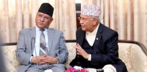 यस्तो छ सरकारले ल्याएको अध्यादेश (पूर्ण पाठ) यस्तो छ सरकारले ल्याएको अध्यादेश (पूर्ण पाठ)