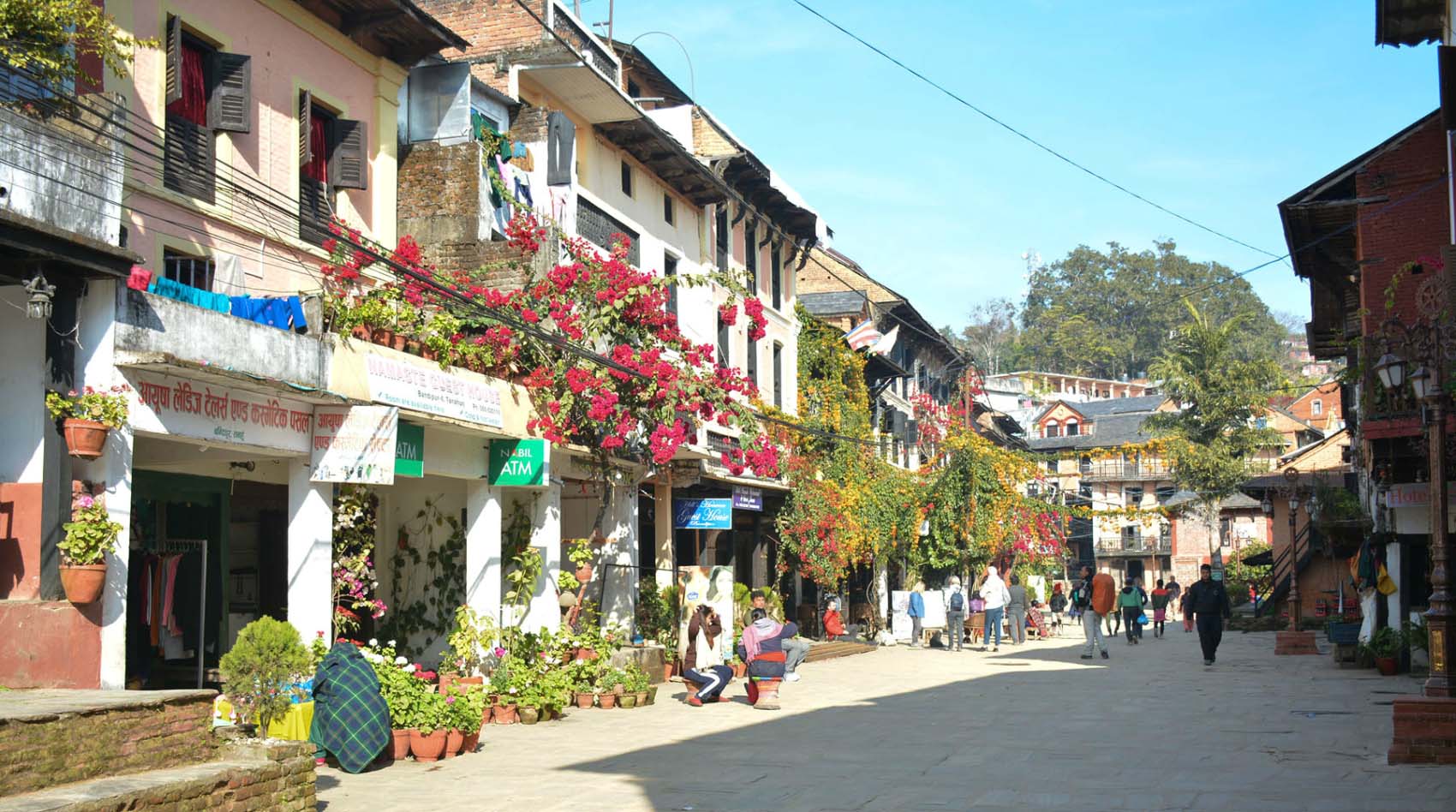 image image