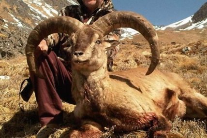 कोरोनाले खस्कियो शिकार : एक झारल र एक नाउर मात्र शिकार