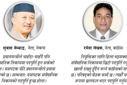 संवैधानिक नियुक्ति कहिले ?