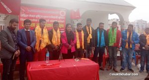 अनेरास्ववियू (काठमाडौ- सिन्धुपाल्चोक)सम्पर्क समिती गठन अनेरास्ववियू (काठमाडौ- सिन्धुपाल्चोक)सम्पर्क समिती गठन