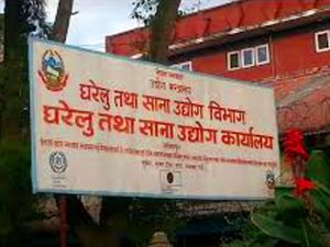 सीप सिकाउँदैः उद्यमी बनाउँदै घरेलु
