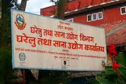 सीप सिकाउँदैः उद्यमी बनाउँदै घरेलु सीप सिकाउँदैः उद्यमी बनाउँदै घरेलु