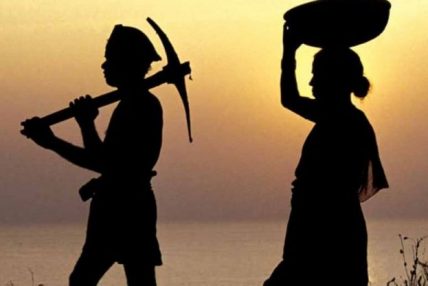किसानको विवरण राख्न सफ्टवेयर तयार किसानको विवरण राख्न सफ्टवेयर तयार
