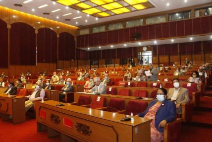 राष्ट्रियसभा बैठकमा शोक प्रस्ताव पारित राष्ट्रियसभा बैठकमा शोक प्रस्ताव पारित