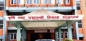 मल खरिदका लागि जीटुजी सम्झौता पत्रमा हस्ताक्षर गर्ने तयारी