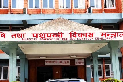 मल खरिदका लागि जीटुजी सम्झौता पत्रमा हस्ताक्षर गर्ने तयारी मल खरिदका लागि जीटुजी सम्झौता पत्रमा हस्ताक्षर गर्ने तयारी
