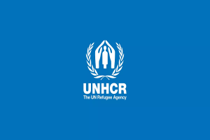 यूएनएचसीआरले भन्यो : टानी शरणार्थी घटना छानबिनलाई हामी स्वागत गर्दछौँ