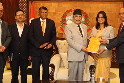 समस्याग्रस्त सहकारीका सञ्चालकको सम्पत्ति जफत गर्न र छुट्टै नियामक गठन गर्न सिफारिस