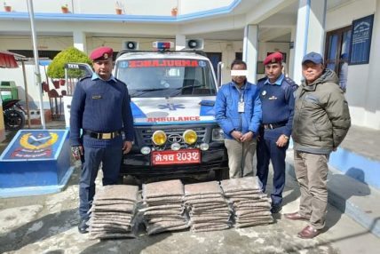 एम्बुलेन्सको प्रयोग गरी लागुऔषध गाँजा ओसार पसार गर्ने पक्राउ एम्बुलेन्सको प्रयोग गरी लागुऔषध गाँजा ओसार पसार गर्ने पक्राउ