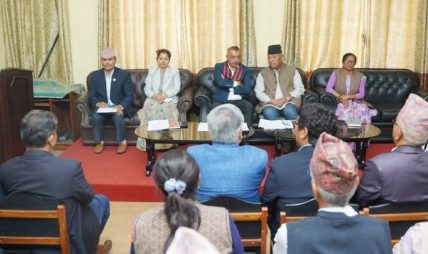 कांग्रेस सांसदलाई सभापति थापाको प्रशिक्षण