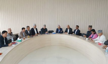 एमालेमा समीक्षा फेरि ओझेलमा, कार्यविभाजनको कार्ड