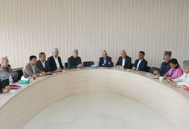 एमालेमा समीक्षा फेरि ओझेलमा, कार्यविभाजनको कार्ड