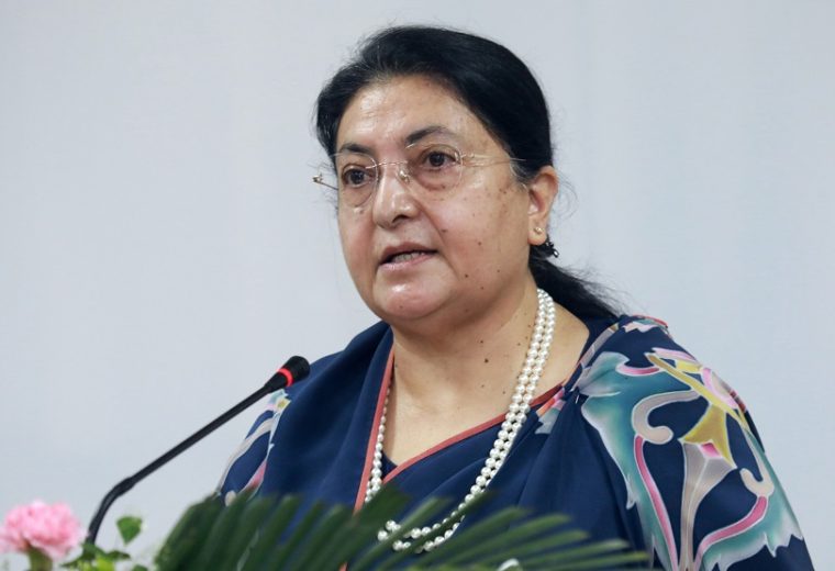 पूर्वराष्ट्रपति भण्डारीको आह्वान : सामाजिक सद्भाव जोगाउँदै राष्ट्रिय एकता बलियो बनाऔँ